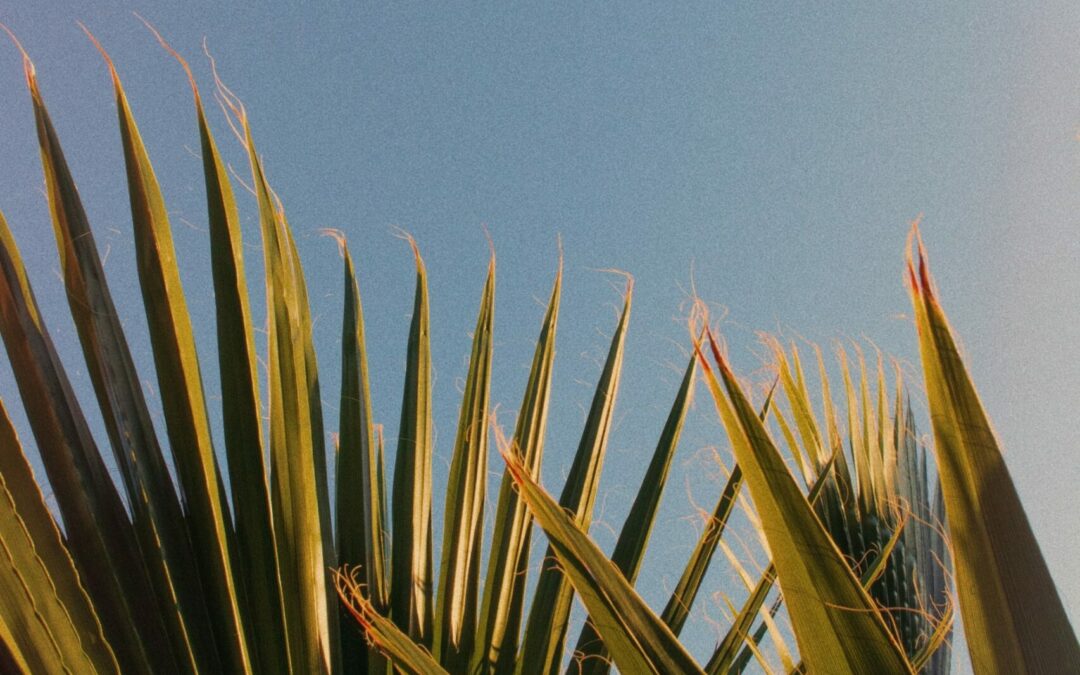 2. Bewusstes Erschaffen deiner RealitÃ¤t – Design your Life Tools