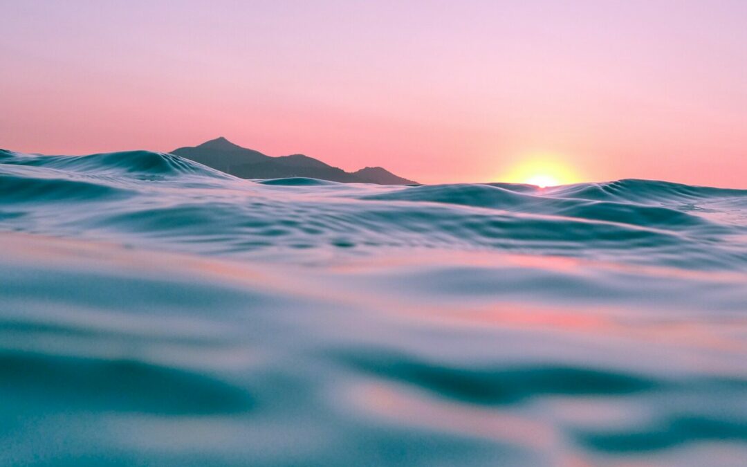 Basics_3: Gesetz der Anziehungskraft